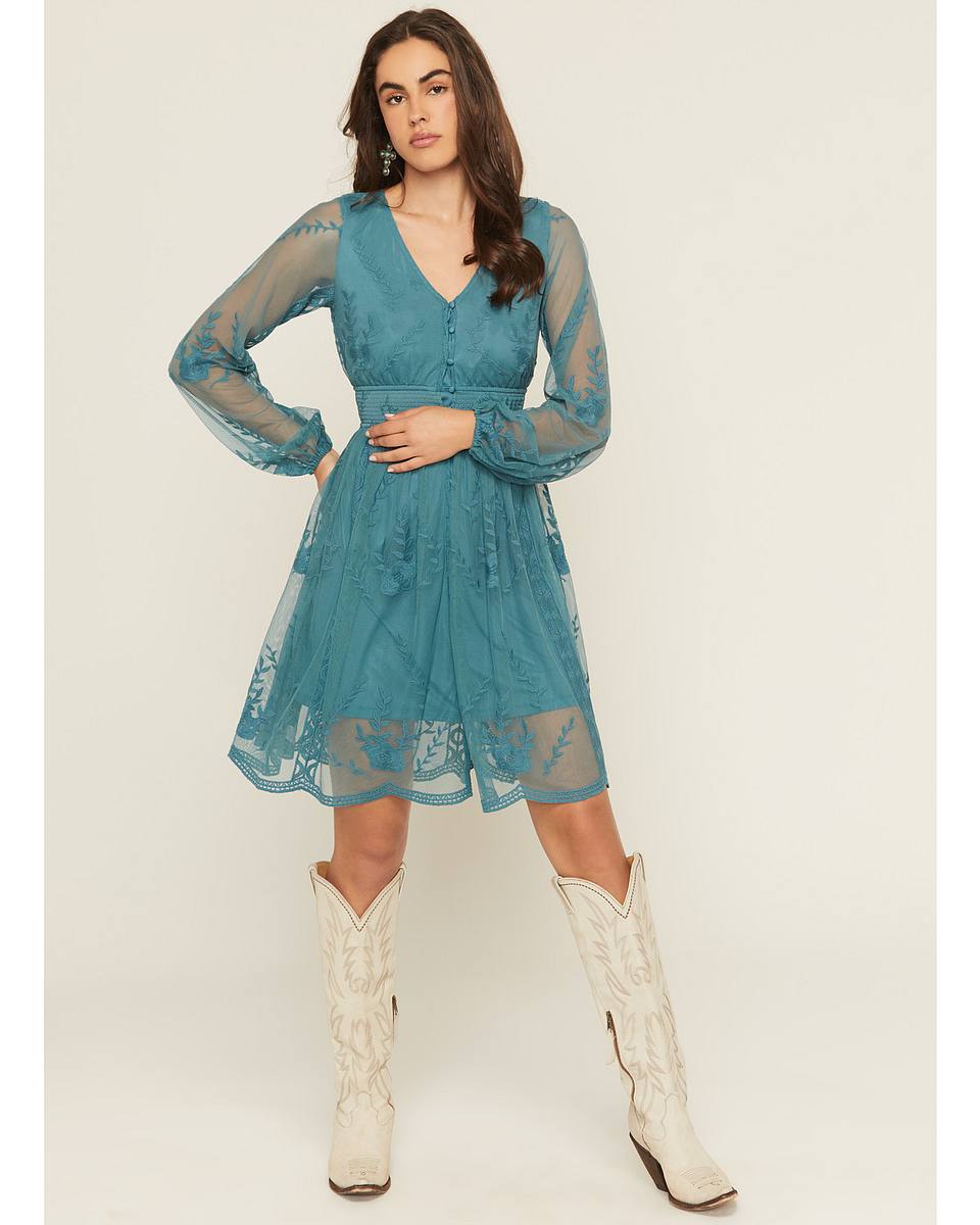 Flawless and Company Embroidered Mesh Button Front Mini Dress