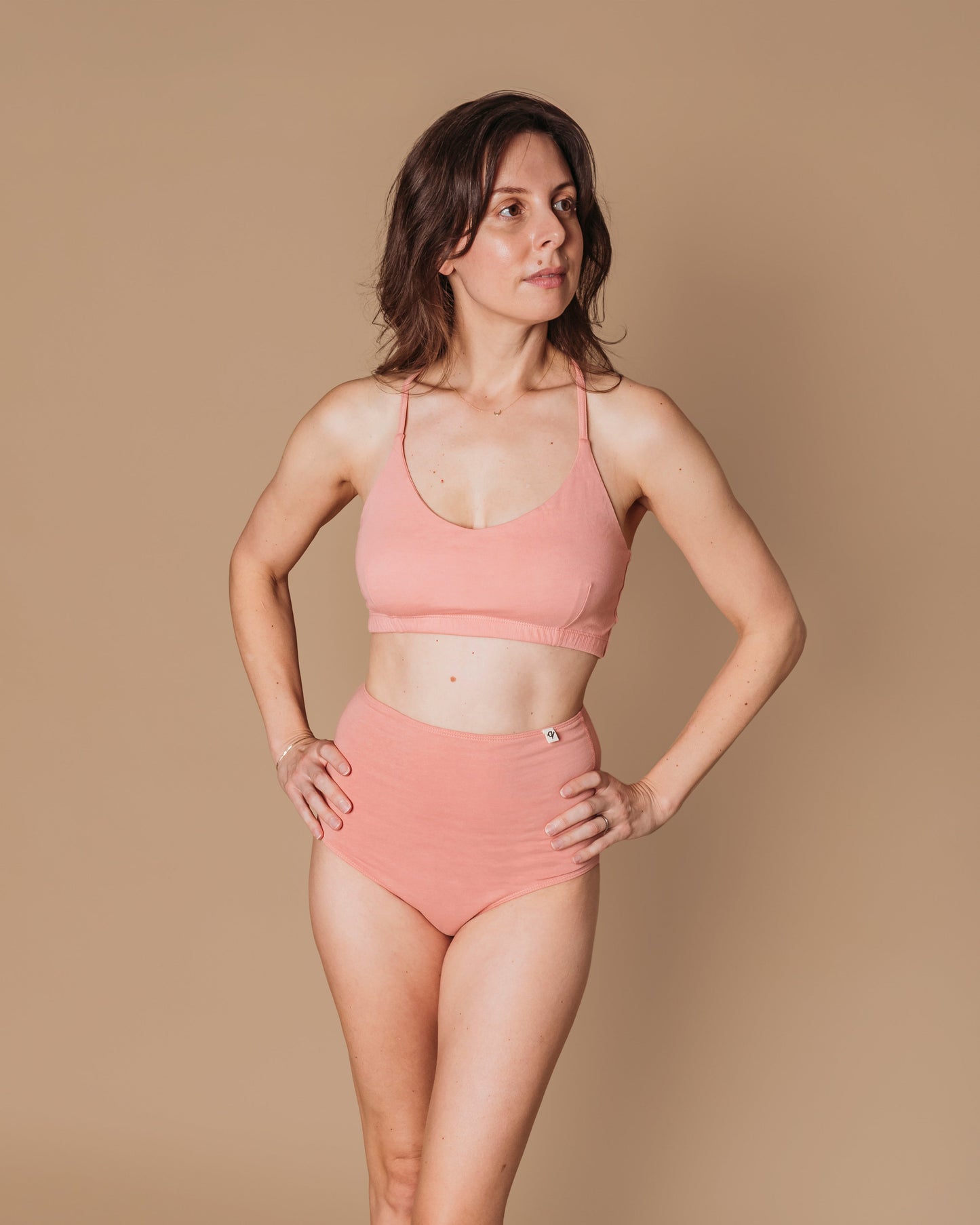 Flawless and Company Women's High Waist Organic Cotton Brief 2 Pack